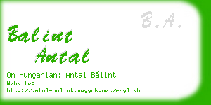balint antal business card